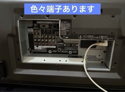 大画面　
65 インチPanasonic VIERA