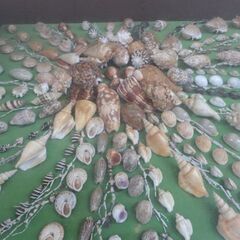 貝で作った飾り物額サイズ横68高さ59㎝の画像