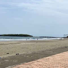 波乗り仲間募集