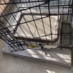 犬　サークル　