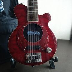 ピグノーズ　PGG-CST トラベルギター　レアカラーの画像