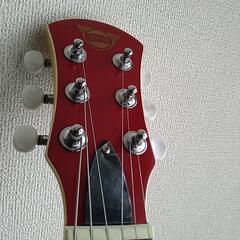 ピグノーズ　PGG-CST トラベルギター　レアカラーの画像
