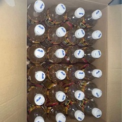 1本あたり約80円！ドデカミン　BIG 600ml