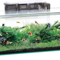 GEX AQUARIUM グラステリアスリム450の画像