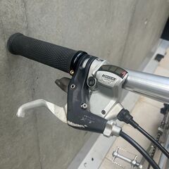 BD-1 Birdy ハイポリッシュ 折りたたみ自転車 18インチ【譲渡証明・要メンテナンス】の画像