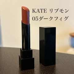 KATE リプモン　05ダークフィグ