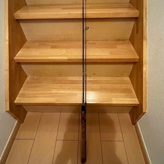テンリュウ　レイズ　65MLの画像
