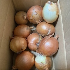 adc様お取引中💗北海道産 訳あリ玉葱２kg💗