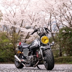 ホンダモンキー　4発250と交換してください　　