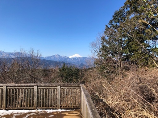 お庭の手入れ等