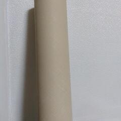 壁紙 ナチュラルベージュ　8m