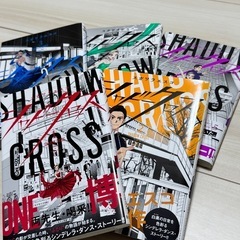 シャドークロス スガワラスエコの画像
