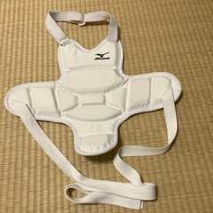 ☆値下げ☆ミズノ空手胴プロテクター