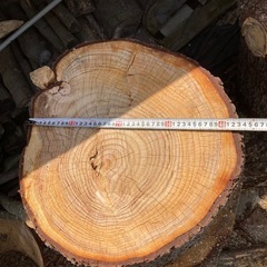 薪　玉切り　ヒマラヤスギ　差し上げます