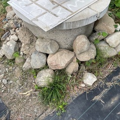 日本庭園　石1