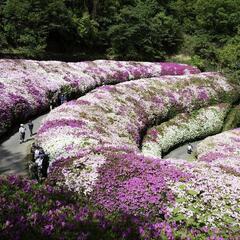 障害をお持ちで、お出かけが好きな方
