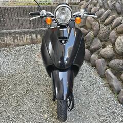 【実働】ホンダ トゥディ 配達可 現車確認可 原付 スクーター バイク 仙台の画像