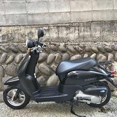 【実働】ホンダ トゥディ 配達可 現車確認可 原付 スクーター バイク 仙台の画像