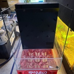 ADA DOOA システムパルダ30 ガラス水槽 パルダリウムの画像