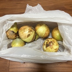 新玉ねぎ