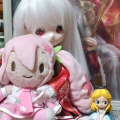 ドル活・ぬい活