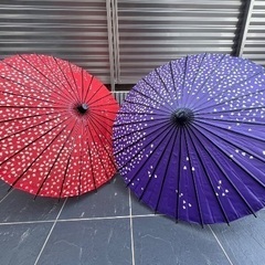 和傘2本セット