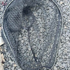 タモ網