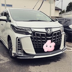 トヨタ　30アルファード　SCパッケージの画像