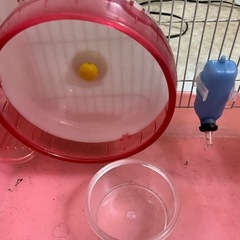 【代理出品】　ハムスター飼育セットの画像