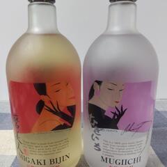 焼酎 磨美人他2本(コレクション用)の画像