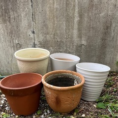 陶器鉢（5つセット）