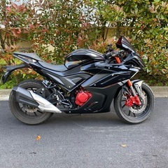 GPX gr200r フルカウルスポーツバイク　200ccの画像