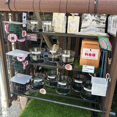 ★無人販売★ メダカ めだか ちゅんりーふぁーむ 5/6