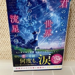 君のいない世界に、あの日の流星が降る