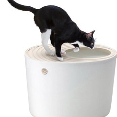 新品未使用上から猫トイレ　レギュラーの画像