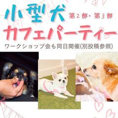 滋賀県野洲市 小型犬オフ会(10kg未満)