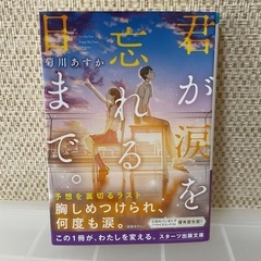 君が涙を忘れる日まで
