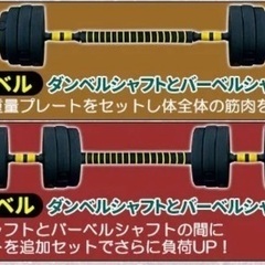 バーベル30kg ダンベル6kg セット