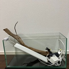 ジェックス　水槽　40cm セット　