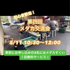 5月11日　メダカ交流会！【初心者歓迎・メダカ仲間作りに！】