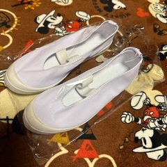 上履き 22cm