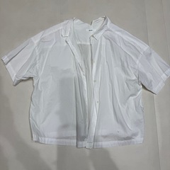 レディース　シャツ