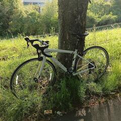 ＦＥＬＴ zw95 ロードバイク