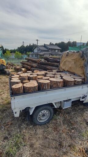 薪 玉切り 広葉樹 コナラorサクラ 三重県いなべ市発(要在庫確認)