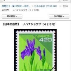 ノハナショウブ