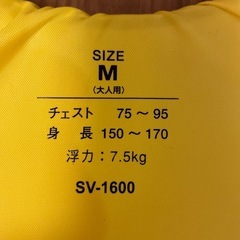 ライフジャケットの画像