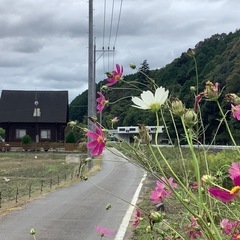 蒜山、ログハウス、別荘 − 岡山県