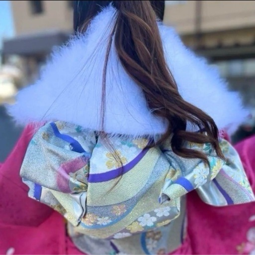 振り袖 フルセット