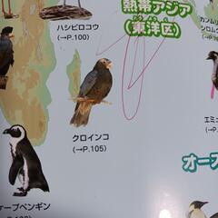 ジュニア学研の図鑑/小学館の図鑑NEO /11巻セットの画像