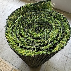 人工芝　の画像